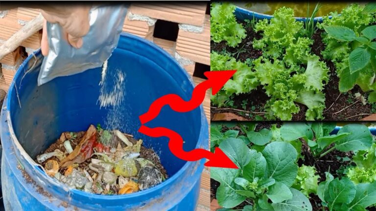 Questo semplice gesto trasforma gli scarti in un fertilizzante organico per il tuo orto…