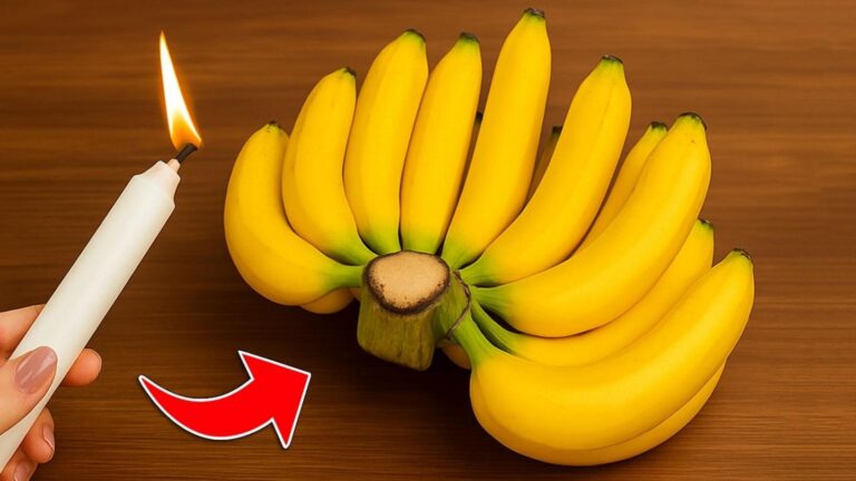 Molti ignorano che le banane possono rimanere fresche per un mese… scopri come!
