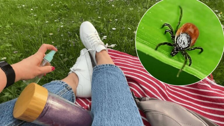 Questo semplice gesto allontana le zecche in modo naturale e sorprendente…