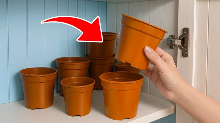 14 trucchi geniali per la casa che non conoscevi! Scopri il 5°!
