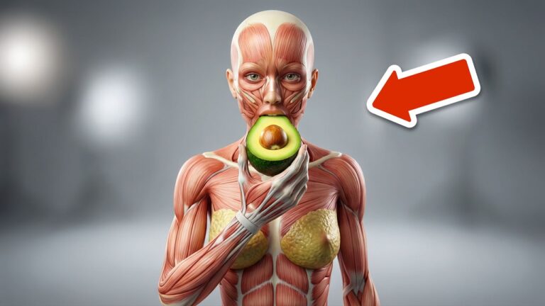 Scopri i 7 incredibili benefici dell’avocado nella tua vita quotidiana!
