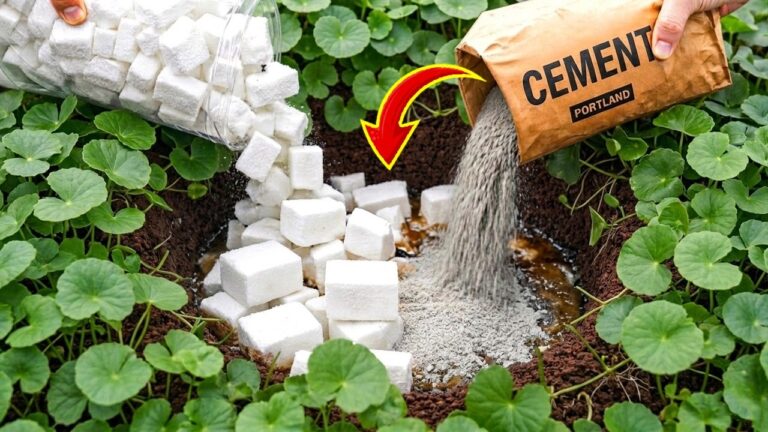 Scopri 5 idee sorprendenti per riutilizzare polistirolo e cemento!