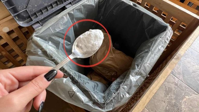 Il trucco per eliminare le cattive odore dai rifiuti con un semplice gesto