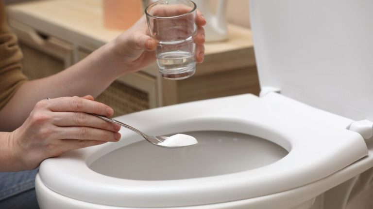 Acqua frizzante e pura senza alzare un dito: ecco come farla!