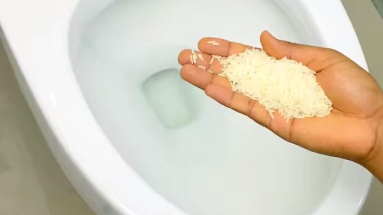 Cosa succede se metti una manciata di riso in bagno?
