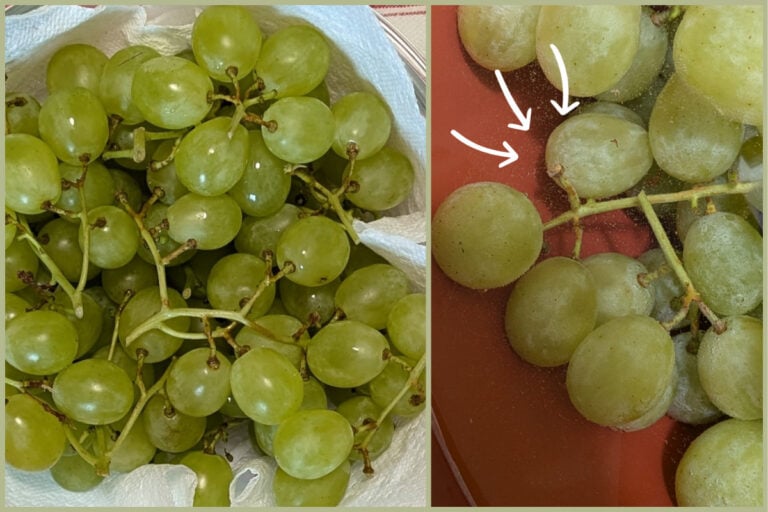 Il trucco per conservare l’uva fino a un mese