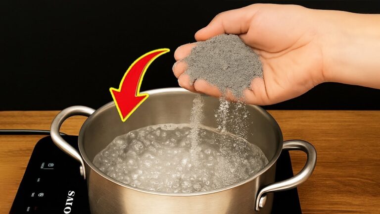 Scopri 5 sorprendenti usi di zucchero e cemento che ti lasceranno a bocca aperta!