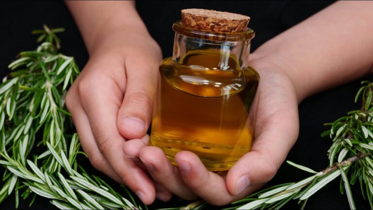 Scopri 5 sorprendenti usi del rosmarino per combattere le varici naturalmente!