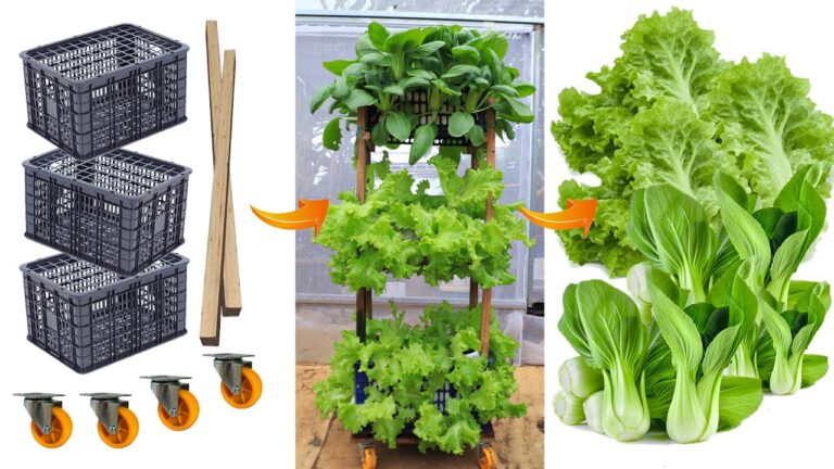 Coltiva 5 ortaggi in casa con torri di verdure in cestini riciclati!