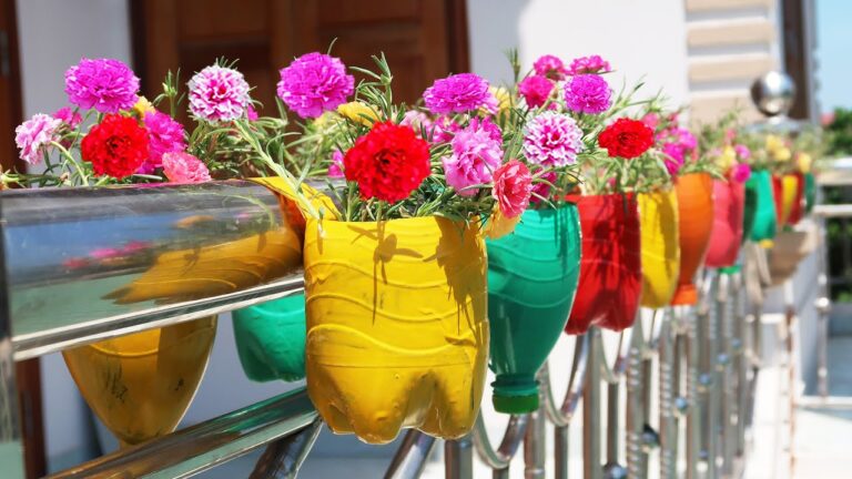 7 Idee per un Giardino Pensile con Bottiglie di Plastica Riciclate! Scopri di più!