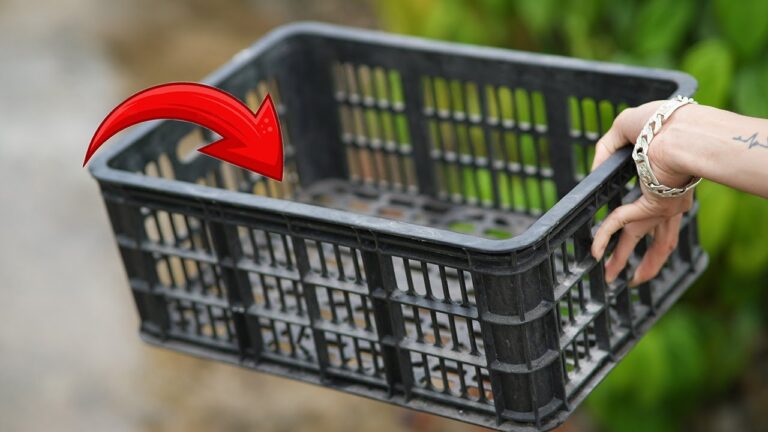 5 Idee Geniali con Casse di Plastica che Devi Scoprire Ora!